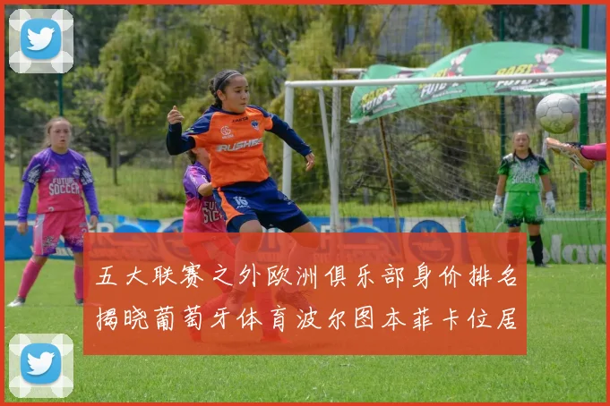 五大联赛之外欧洲俱乐部身价排名揭晓葡萄牙体育波尔图本菲卡位居前三