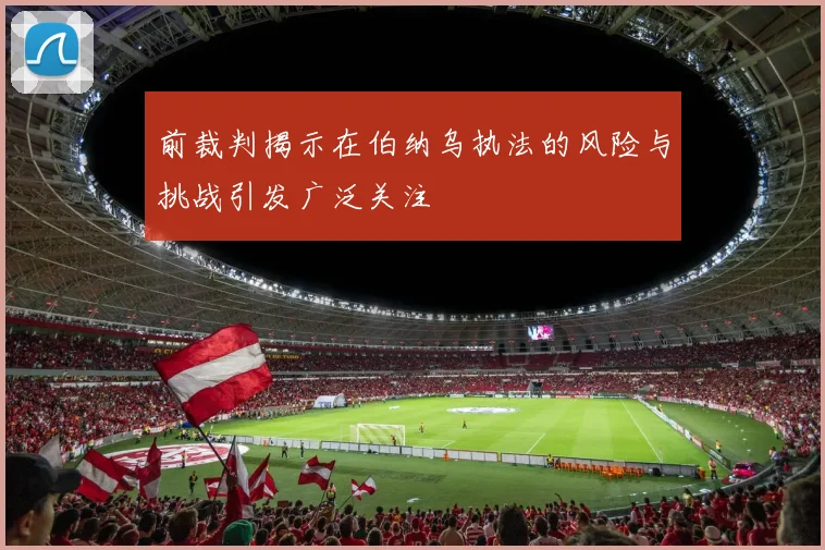 前裁判揭示在伯纳乌执法的风险与挑战引发广泛关注