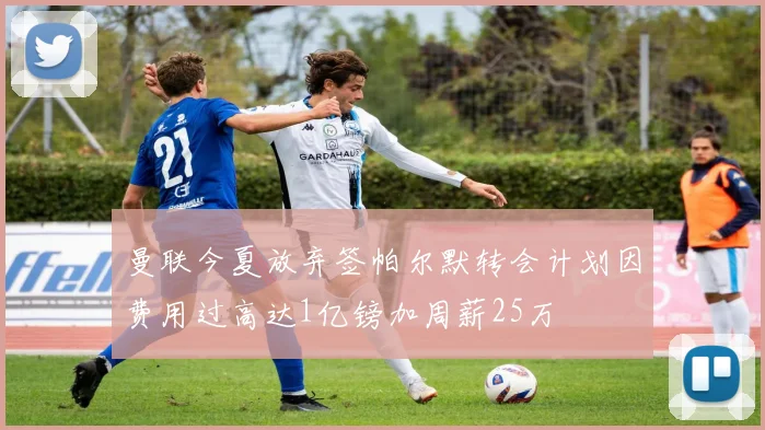 曼联今夏放弃签帕尔默转会计划因费用过高达1亿镑加周薪25万