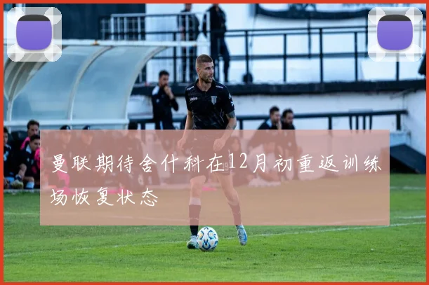 曼联期待舍什科在12月初重返训练场恢复状态